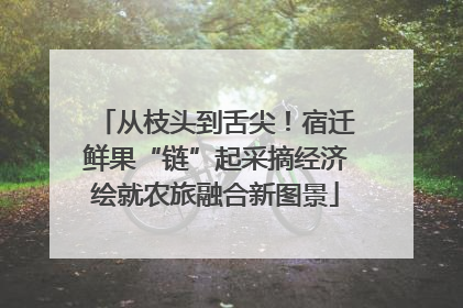 从枝头到舌尖！宿迁鲜果“链”起采摘经济绘就农旅融合新图景